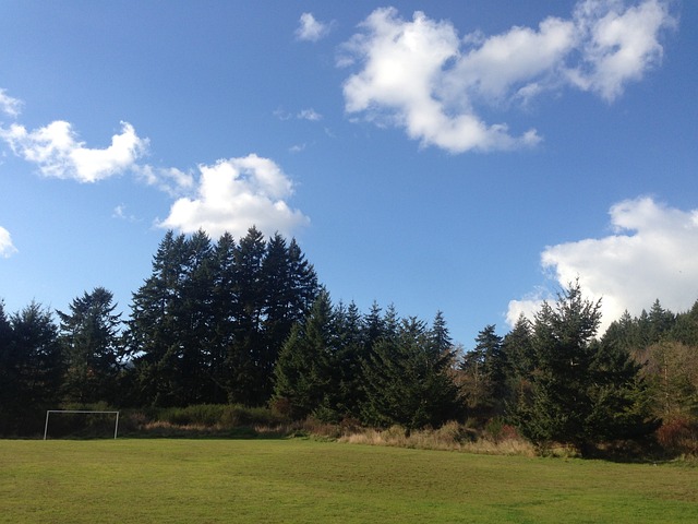 也曾遭遇类